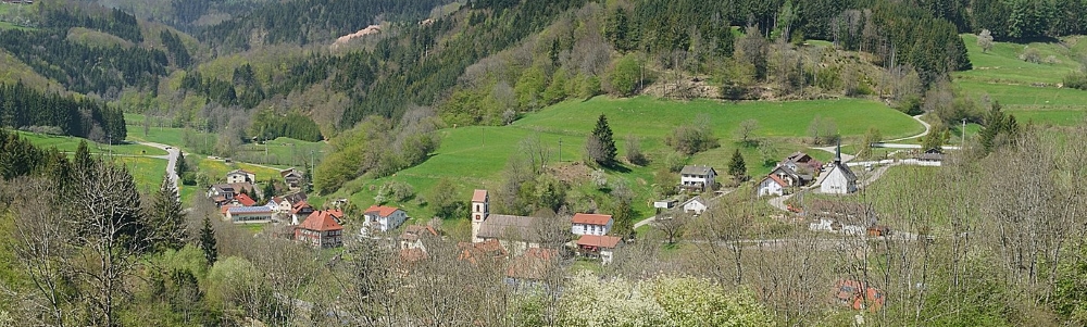 Unterkünfte in Tegernau