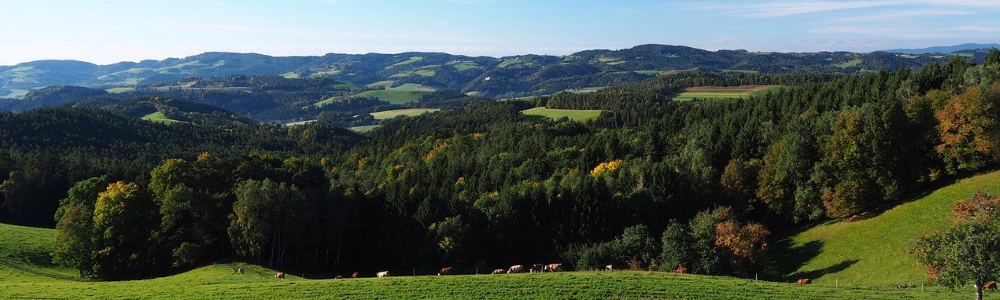 Unterkünfte Niedersterreich