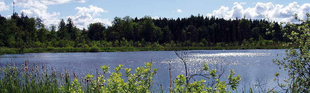 Unterkünfte in Bernitt