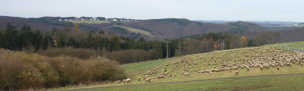 Unterkünfte in Idelberg