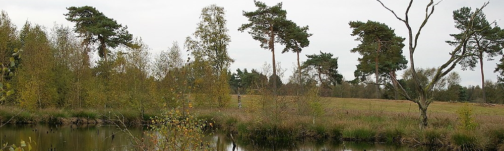 Unterkünfte in Bahrenborstel