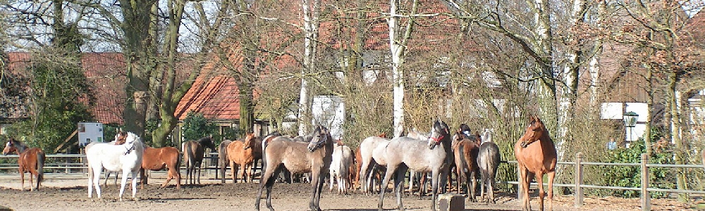 Unterkünfte in Wagenfeld