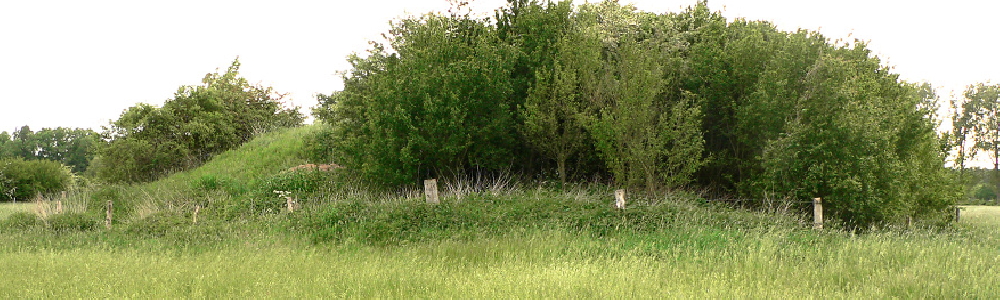 Unterkünfte in Grethem