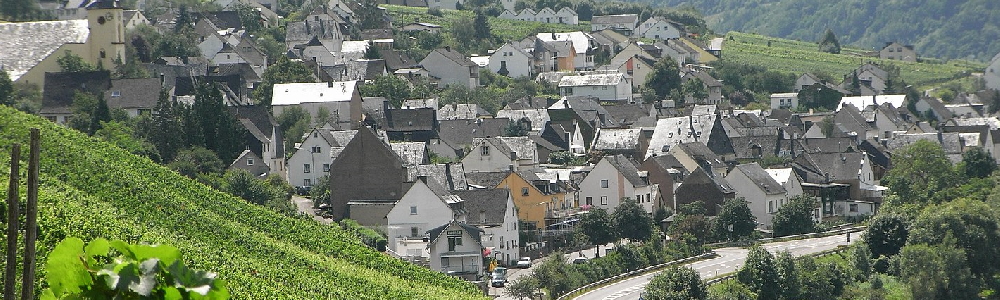 Unterkünfte in Burg (Mosel)