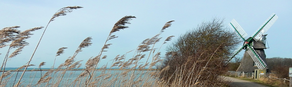 Unterkünfte in Gelting