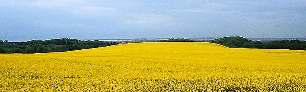 Unterkünfte in hohenfelde