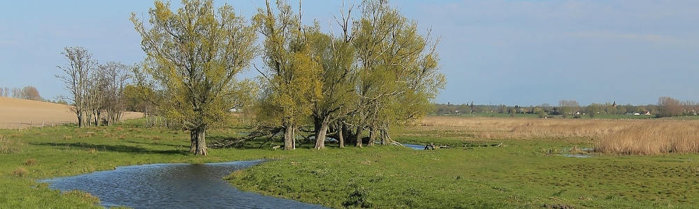 Unterkünfte in Hanshagen