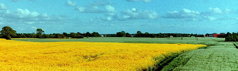 Unterkünfte in Bredenbek