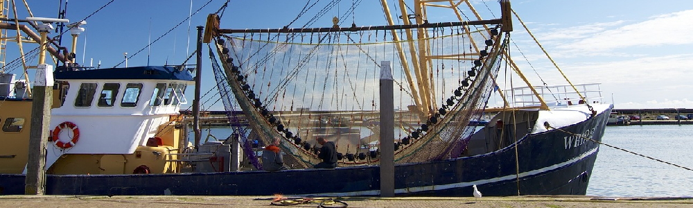 Unterkünfte Noord-Holland