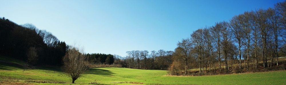 Unterkünfte Oberpflzer Wald