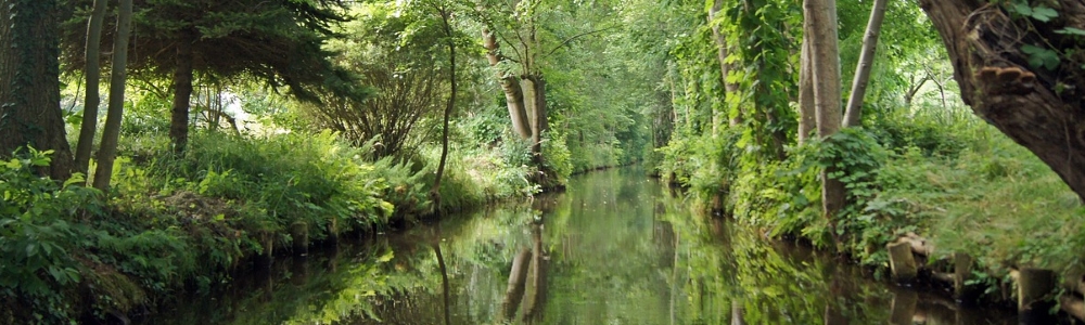 Unterkünfte in Burg (Spreewald)