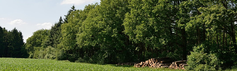 Unterkünfte in Poyenberg