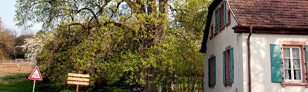 Unterkünfte in Schmalenberg