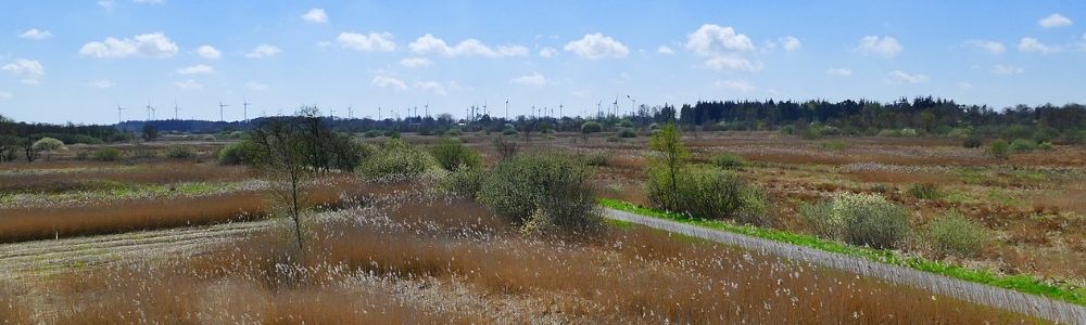 Unterkünfte in Rehm-Flehde-Bargen