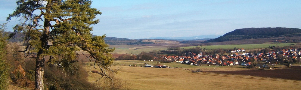 Unterkünfte in Wiesenthal