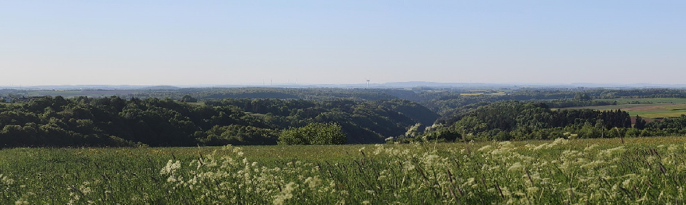 Unterkünfte in Obersimten